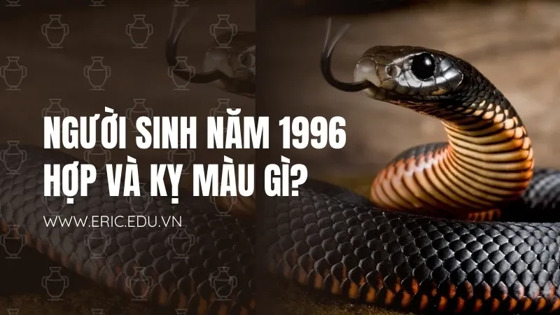 Người sinh năm 1996 mệnh gì 03