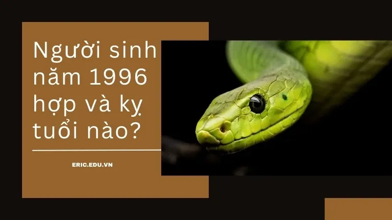 Người sinh năm 1996 mệnh gì 04