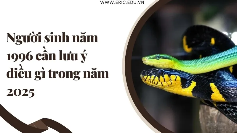 Người sinh năm 1996 mệnh gì 06