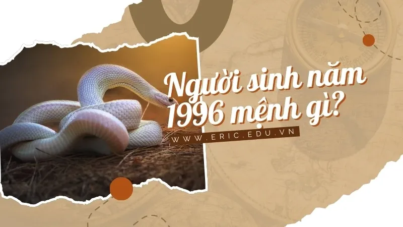 Người sinh năm 1996 mệnh gì 02