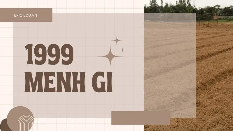 1999 mệnh gì 02