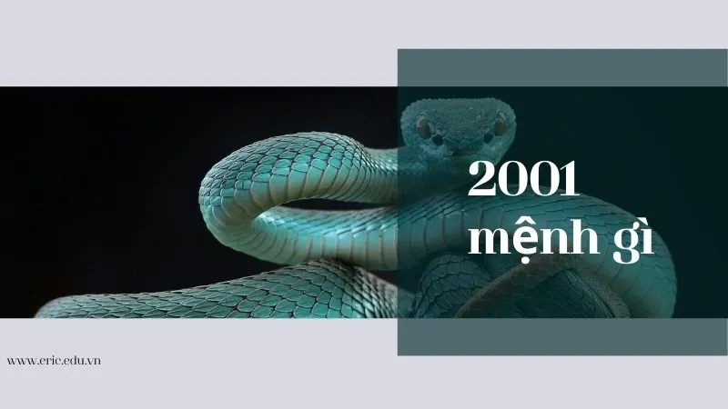 Người sinh năm 2001 mệnh gì 01