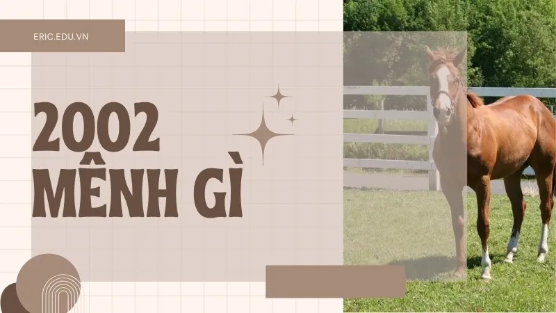 Sinh năm 2002 mệnh gì 02