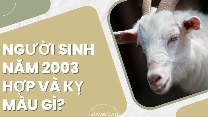 Người sinh năm 2003 mệnh gì 02