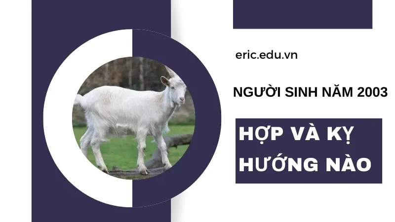 Người sinh năm 2003 mệnh gì 04