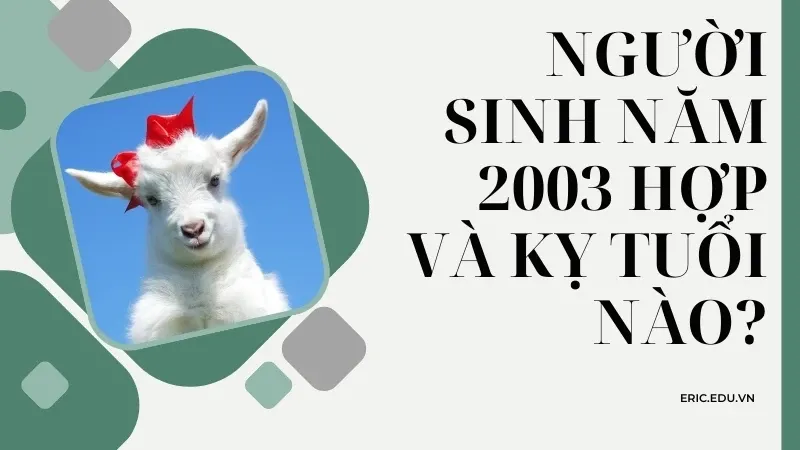 Người sinh năm 2003 mệnh gì 05