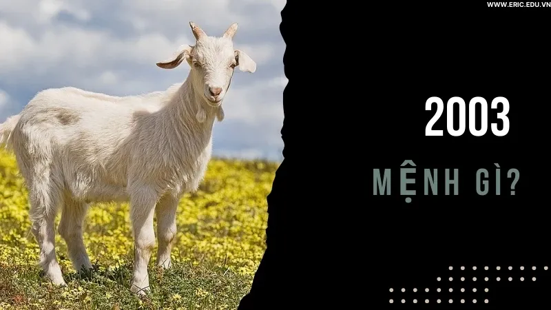 Người sinh năm 2003 mệnh gì 01