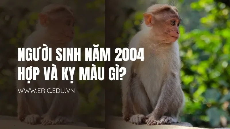 GIa chủ 2004 mệnh gì 03