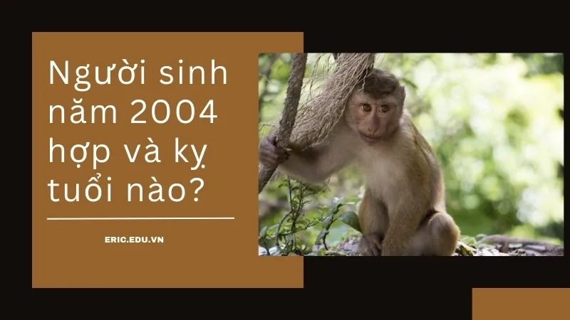 GIa chủ 2004 mệnh gì 05