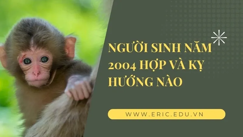 GIa chủ 2004 mệnh gì 04