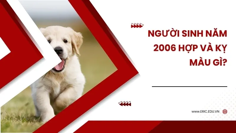 Người sinh năm 2006 mệnh gì 03