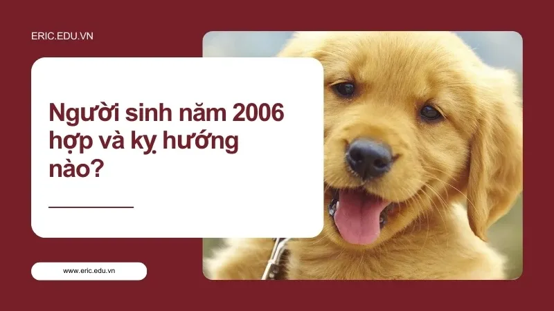 Người sinh năm 2006 mệnh gì 04