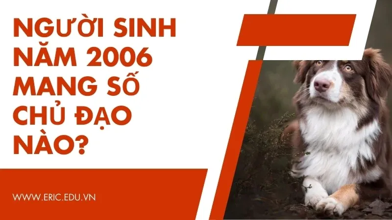 Người sinh năm 2006 mệnh gì 06