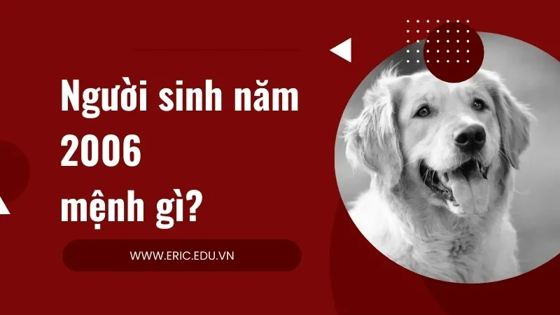 Người sinh năm 2006 mệnh gì 02