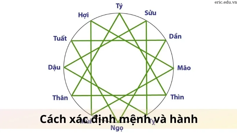 Tương sinh ngũ hành là gì 05