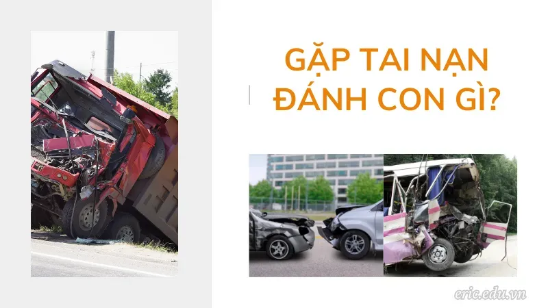 Gặp tai nạn đánh con gì?
