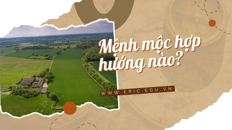 Mệnh mộc hợp màu gì 05