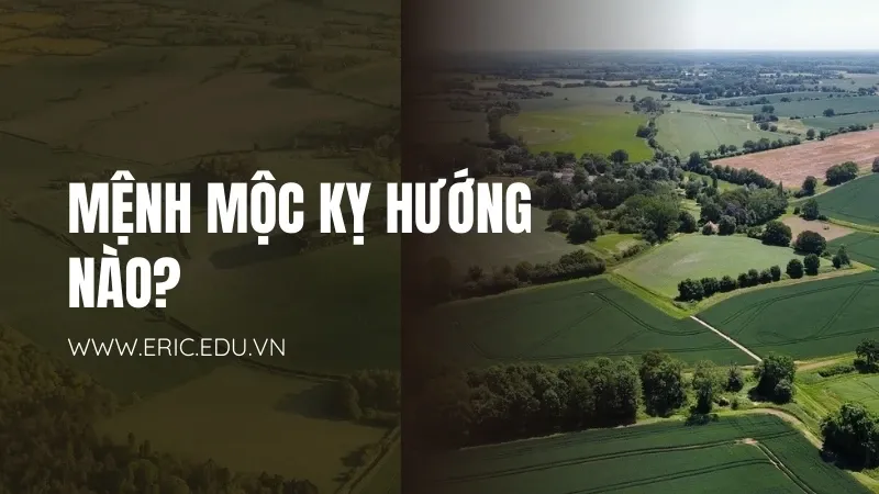 Mệnh mộc hợp màu gì 06