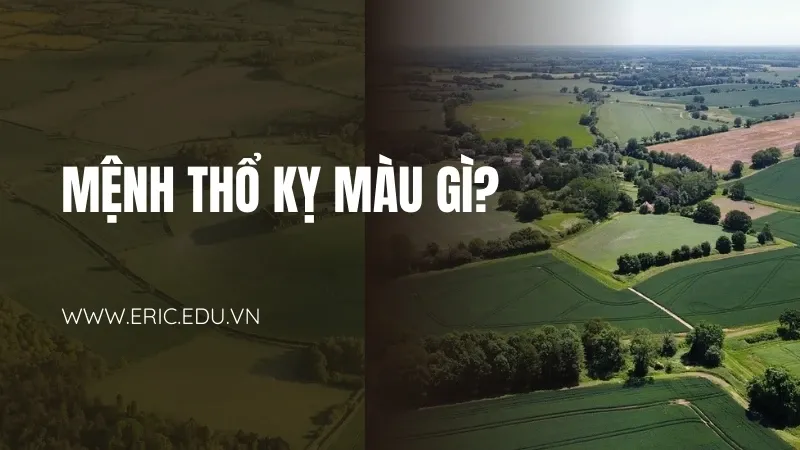 Mệnh Thổ hợp màu gì 03