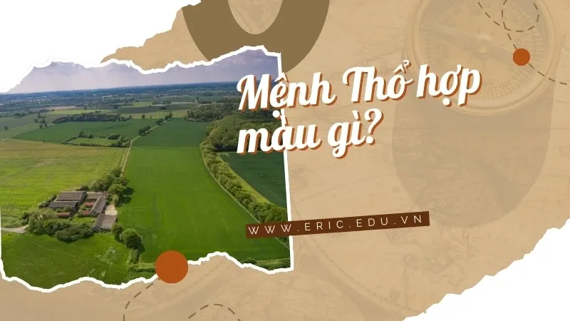 Mệnh Thổ hợp màu gì 02