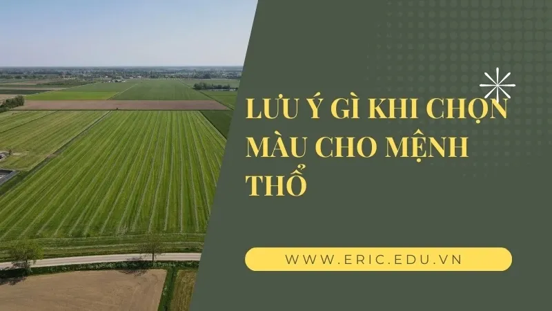 Mệnh Thổ hợp màu gì 05
