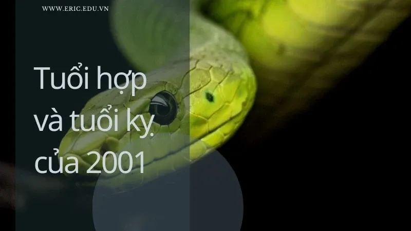 Người sinh năm 2001 mệnh gì 04