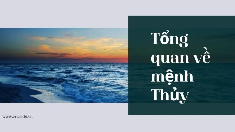 Người thuộc mệnh thủy hợp màu gì? Tương sinh tương khắc với mệnh nào? 1