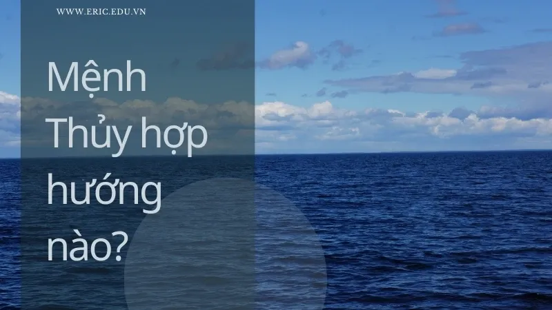 Người thuộc mệnh thủy hợp màu gì 04