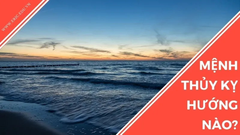 Người thuộc mệnh thủy hợp màu gì 05