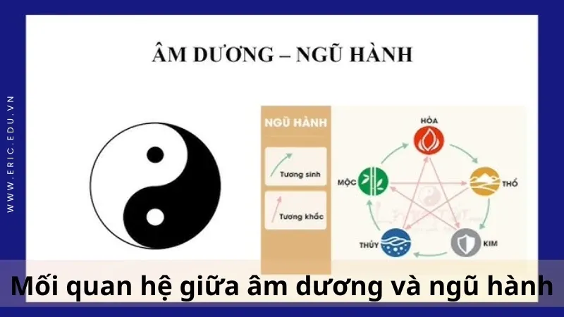 Âm dương ngũ hành 03