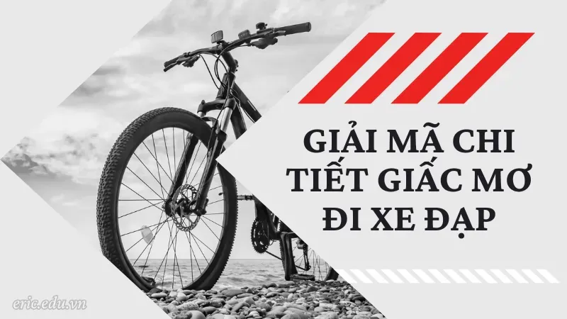 Giải mã chi tiết giấc mơ đi xe đạp