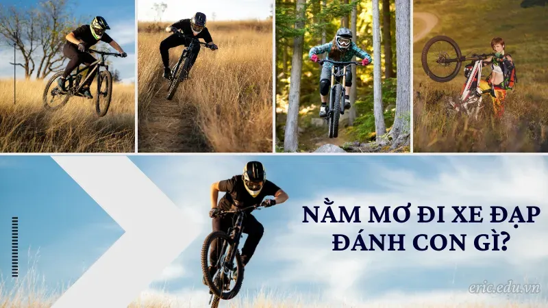 Nằm mơ đi xe đạp đánh con gì?