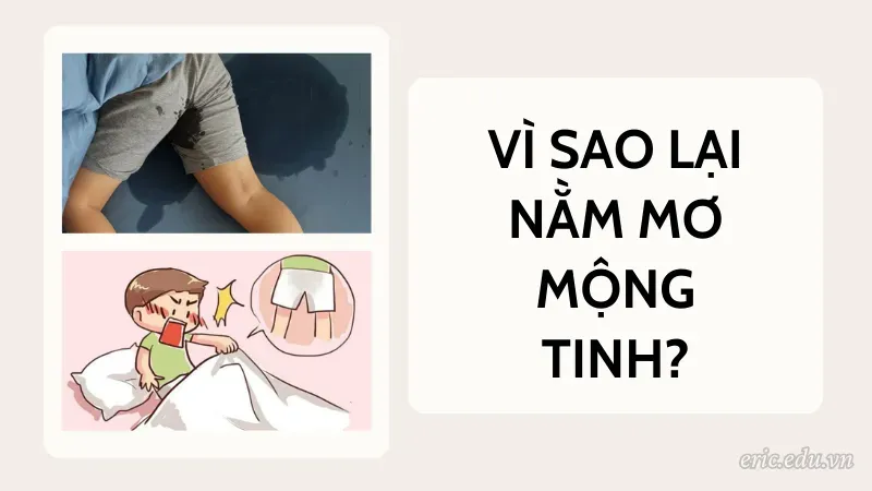 Vì sao lại nằm mơ mộng tinh?