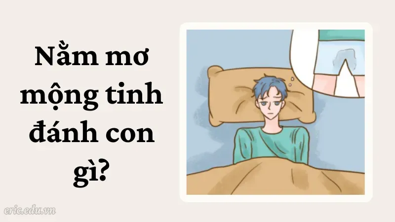 Nằm mơ mộng tinh đánh con gì?