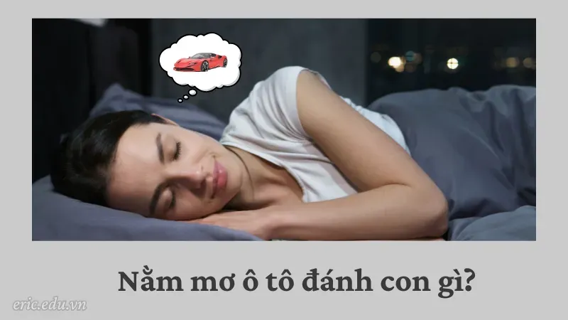 Nằm mơ ô tô đánh con gì?
