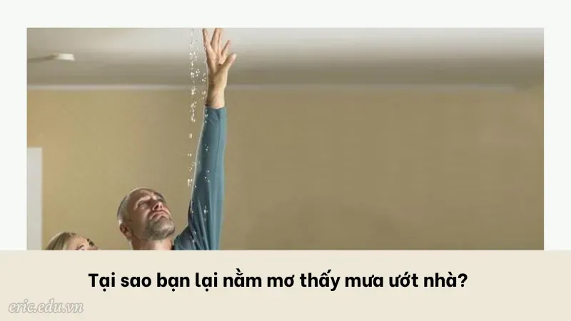 Tại sao bạn lại nằm mơ thấy mưa ướt nhà?