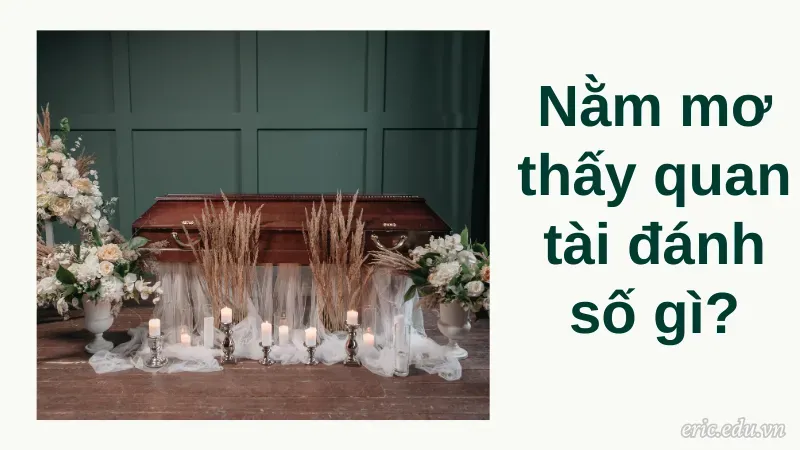 Nằm mơ thấy quan tài đánh số gì?