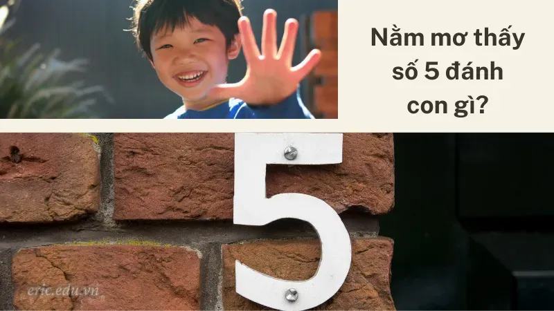 Nằm mơ thấy số 5 đánh con gì?