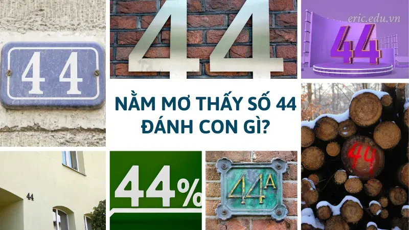 Nằm mơ thấy số 44 đánh con gì?