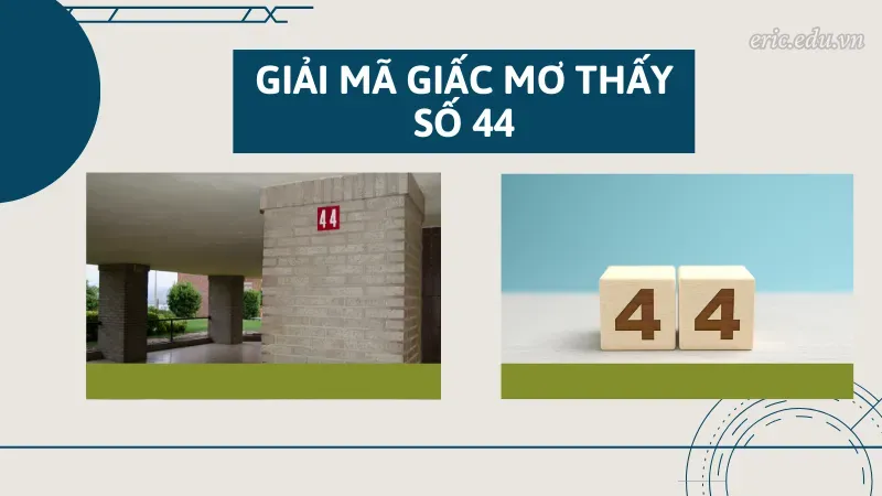 Giải mã giấc mơ thấy số 44