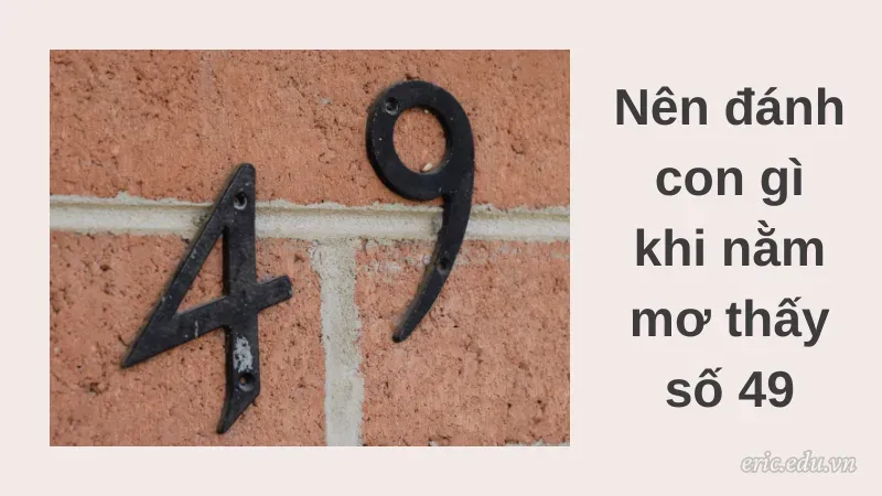 Nên đánh con gì khi nằm mơ thấy số 49