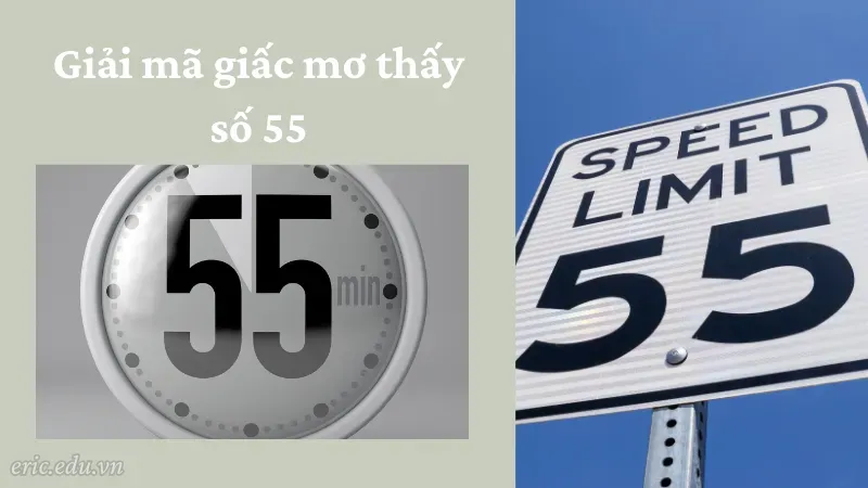 Giải mã giấc mơ thấy số 55