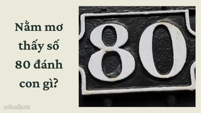 Nằm mơ thấy số 80 đánh con gì?