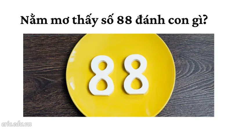 Nằm mơ thấy số 88 đánh con gì?