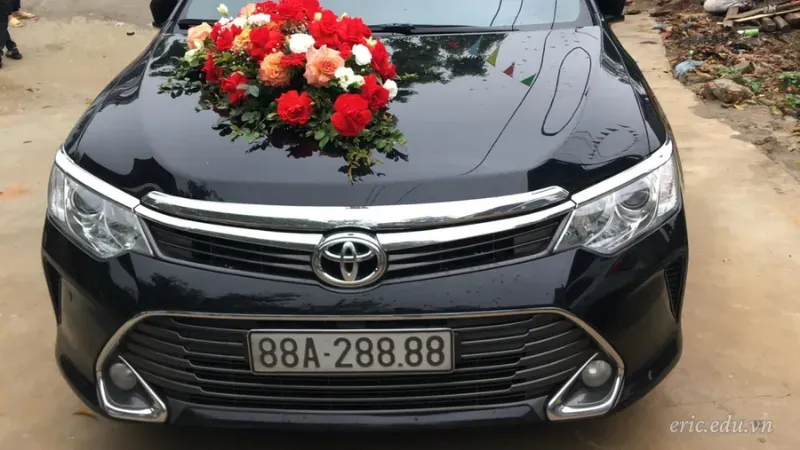 Mơ thấy biển số xe chứa số 88