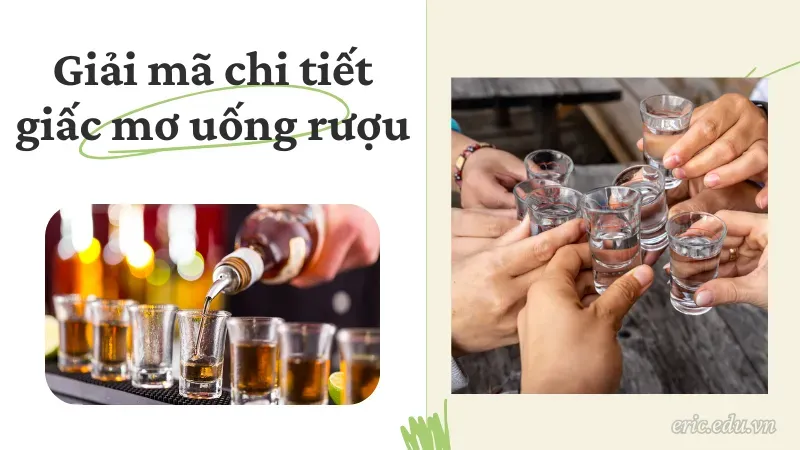 Giải mã chi tiết giấc mơ uống rượu