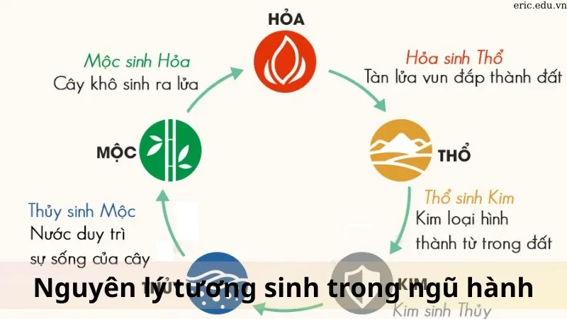 Tương sinh ngũ hành là gì 03