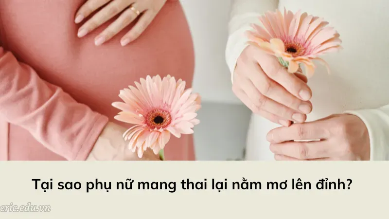 Tại sao phụ nữ mang thai lại nằm mơ lên đỉnh?