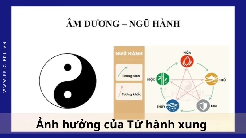 Tứ hành xung là gì 03