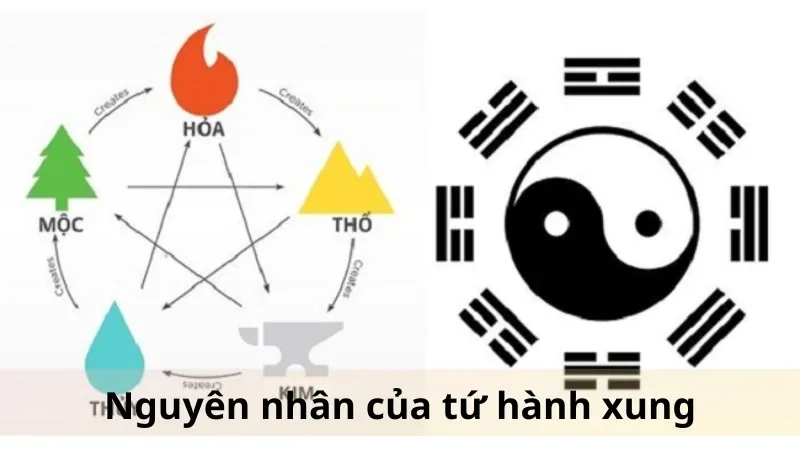Tứ hành xung là gì 04
